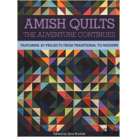 Amish Quilts: the adventure continues: featuring 21...