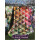 Radiant Quilts Stunning Quilts from Simple Shapes Elsie M. Campbell
